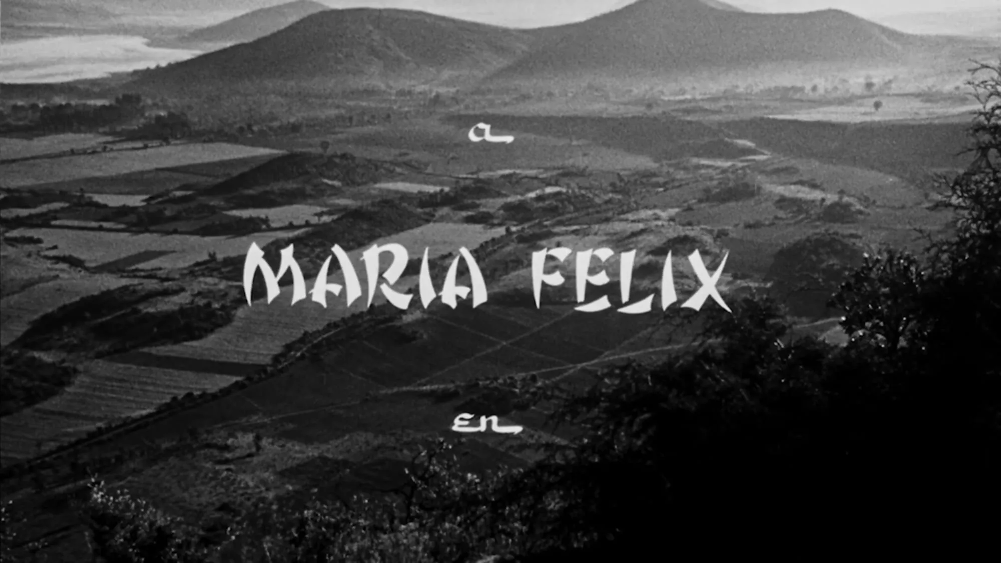 Still 2 de la película