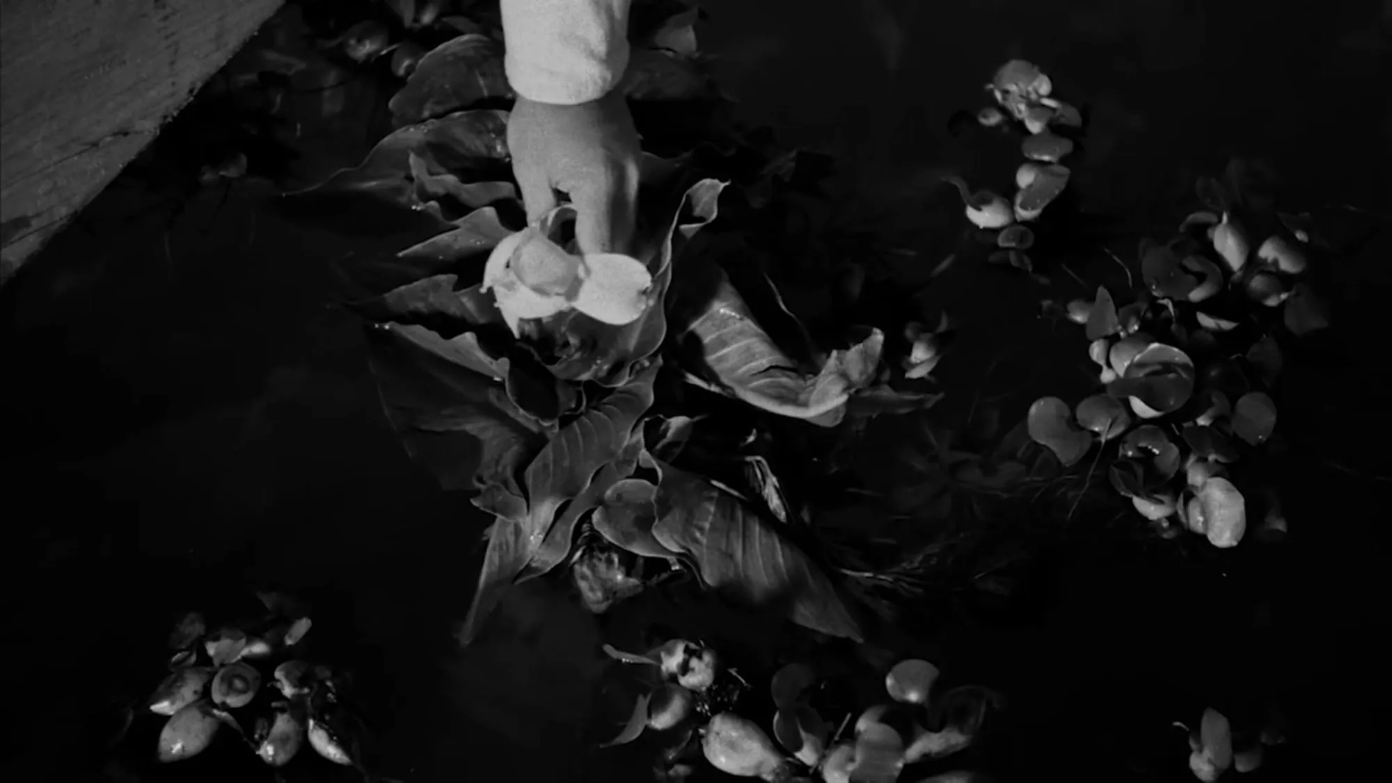 Still 27 de la película